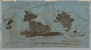 Skizzen von Stieren von Unknown artist