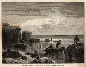 Schwammfischen durch die Inselbewohner von Anastasia Island, bei Ebbe, Frauen und Kinder sammeln unter den Felsen und Männer fahren mit Kanus hinaus, um sie vom Meeresgrund zu bergen. Gravur zur Illustration der Geschichte "Vier Monate in Florida", von Ach von Unknown artist