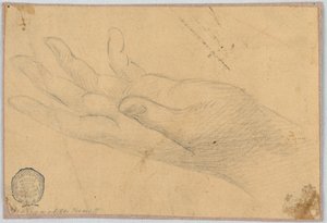 Studie: Eine linke Hand