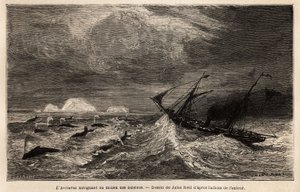 Die Arcturus, ein dänischer Liner, der zwischen Kopenhagen und Island verkehrt, auf dem der Autor einschifft, um Reykjavik zu erreichen, segelnd unter Walen. Gravur zur Illustration der Reise nach Island, Geschichte von Noel Nougaret, 1866, veröffentlicht  von Unknown artist
