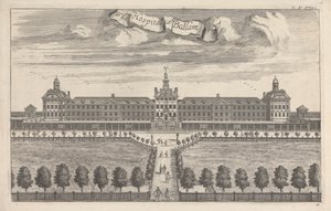 Das Krankenhaus namens Bedlam