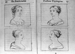 Die verschiedenen weiblichen Profile Seite aus „Tractatus physiologicus de pulchritudine“ behandelt von Ernesto Venio (Ernestus Vaenius), der die Schönheit der Schöpfung gegen einen anonymen Gegner verteidigt. 1612