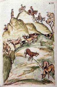 Die Kuhhirten umzingeln eine Gruppe von Kühen in den Bergen, um sie zu fangen, aus dem Buch "Trujillo del Peru" oder "Códice Martínez Compañón", von Baltazar Martinez Compañón y Bujanda, Bischof von Trujillo (1782-1785)