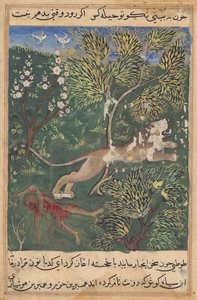 Der Löwe, der Verrat seitens des Affen vermutet, tötet ihn und flieht, aus einem Tuti-nama (Geschichten eines Papageis): Neunundzwanzigste Nacht