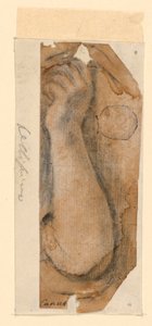 Der erhobene Unterarm einer Frau von Unknown artist