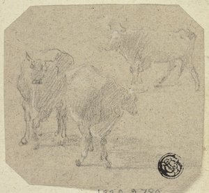 Drei Kühe von Unknown artist