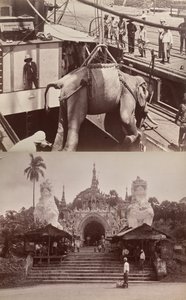 Ohne Titel: (Elefant wird auf ein Schiff verladen, recto); (Stufen und Gebäude, verso)