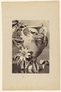 Vase mit Passionsblumen