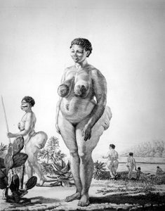 Venus Hottentote aus Südafrika