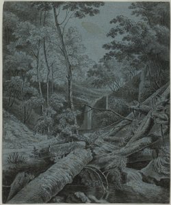 Wasserfall und gefallene Baumstämme im Wald