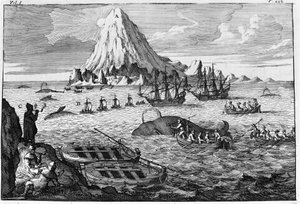 Walfang vor der Insel Jan Mayen. Gravur Anfang des 18. Jahrhunderts von Unknown artist