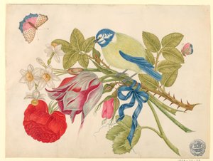 Gelb-blauer Vogel auf Strauß mit Rose, Tulpen und Narzissen, mit Schmetterlingen von Unknown artist