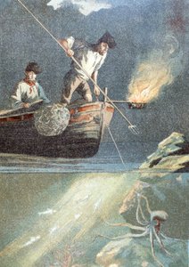 Tintenfischfang