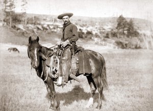 Ein Cowboy zu Pferd - Foto