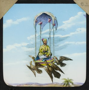 Erstaunliche Flugmaschinen von Unknown photographer