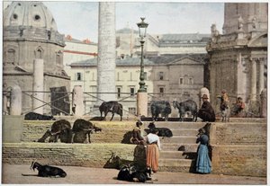 Antikes Rom: Blick auf das Forum Romanum. Italien, späte 19. Jahrhundert. von Unknown photographer