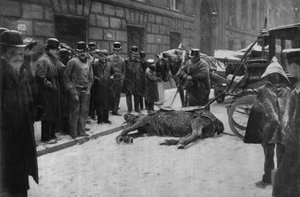 Tod eines Kutschpferdes in den Straßen von Paris. Fotografie, späte 19. Jahrhundert, Paris. Sammlung Selva.