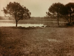 Landschaft auf den Brijuni-Inseln von Unknown photographer
