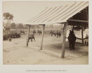 Fotografie im Fotoalbum