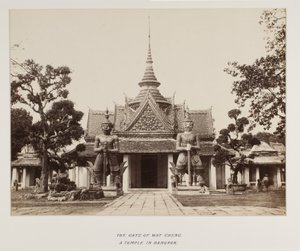 Fotografie im Fotoalbum