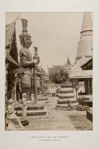 Fotografie im Fotoalbum