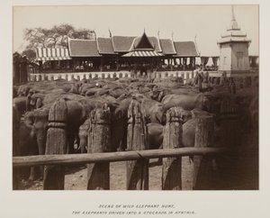 Fotografie im Fotoalbum