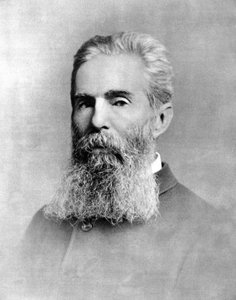 Porträt von Herman Melville (1819-1891), amerikanischer Schriftsteller von Unknown photographer