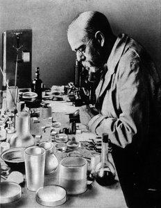 Porträt des deutschen Arztes Robert Koch (1843-1910) in seinem Labor