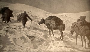 Die französischen und italienischen Positionen haben mehr als 2 Meter Schnee über dem Meeresspiegel