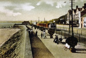 Die Seemauer, Jersey