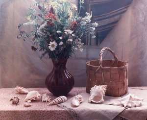 Wildblumen und Muscheln Stillleben von UstinaGreen