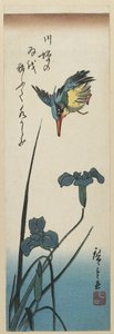 (Iris und Eisvogel), 1843-1847