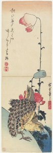 (Wachteln und Mohnblumen), 1830-1858