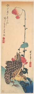 Ein Paar Wachteln und Mohnblumen von Utagawa Hiroshige