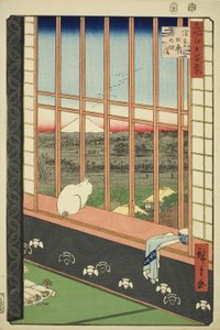 Asakusa-Reisfelder und Torinomachi-Festival (Asakusa tanbo Torinomachi mode), aus der Serie "Hundert berühmte Ansichten von Edo (Meisho Edo hyakkei)"