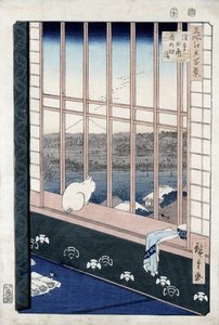 Asakusa-Reisfelder während des Hahnenfestes aus der Serie 