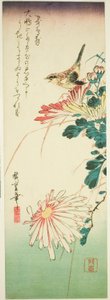 Vogel und Chrysanthemen von Utagawa Hiroshige