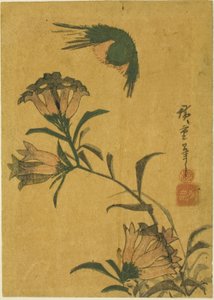 Vogel und Enzian