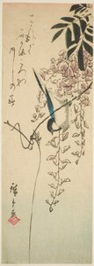 Vogel auf Glyzinie von Utagawa Hiroshige