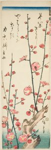 Blühende Pflaumenzweige von Utagawa Hiroshige