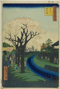 Blüten am Damm des Tama-Flusses, aus der Serie "Hundert berühmte Ansichten von Edo" von Utagawa Hiroshige