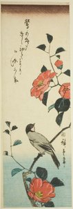 Kamelienblüten und Gimpel von Utagawa Hiroshige