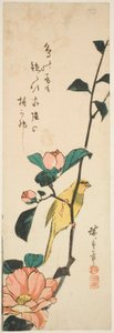 Kanarienvogel und Kamelien von Utagawa Hiroshige