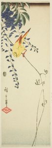 Kanarienvogel und Glyzinie von Utagawa Hiroshige