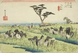 Chiryu: Frühsommer-Pferdemarkt (Chiryu, shuka uma ichi), aus der Serie "Fifty-three Stations of the Tokaido (Tokaido gojusan tsugi no uchi)," auch bekannt als Hoeido Tokaido von Utagawa Hiroshige