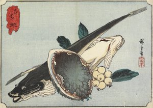 Flathead und Abalone, frühes 19. Jahrhundert