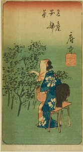 Fuchu, Abschnitt des Blattes Nr. 5 aus der Serie "Ausschnitte der dreiundfünfzig Stationen (Gojusan tsugi harimaze)"