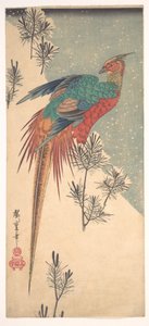 Goldfasan und Kiefersprossen im Schnee von Utagawa Hiroshige