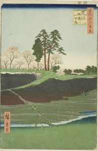 Goten Hill in Shinagawa, aus der Serie "Hundert berühmte Ansichten von Edo" von Utagawa Hiroshige