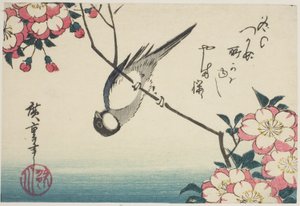 Kohlmeise auf Kirschblütenzweig von Utagawa Hiroshige